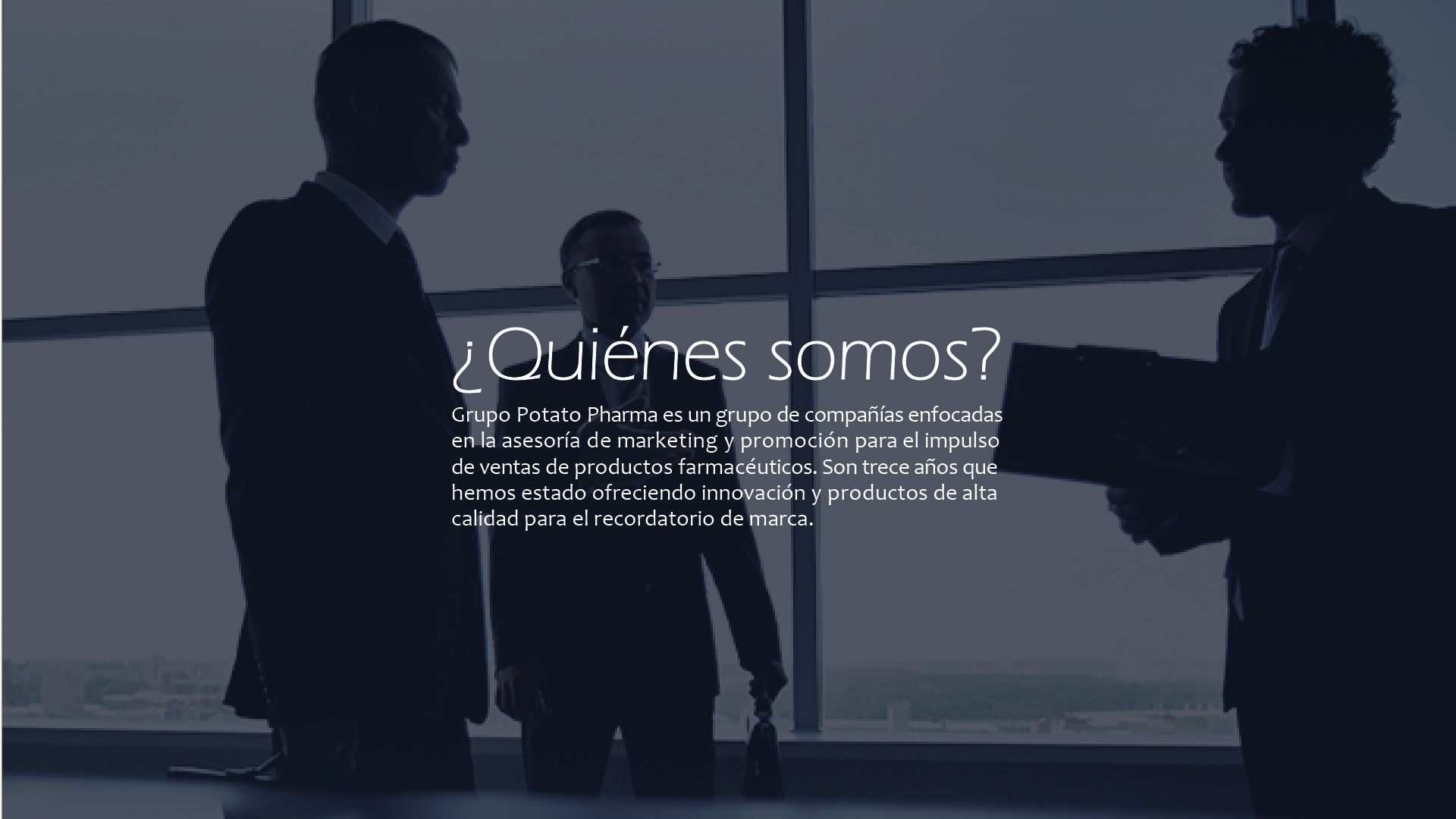 Imagen responsive
